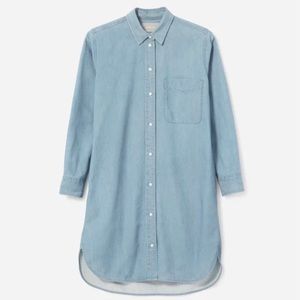 Everlane Cotton Jean Dress in Light Indigo